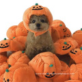 Halloween pumpkin shaped Short plush winter pet